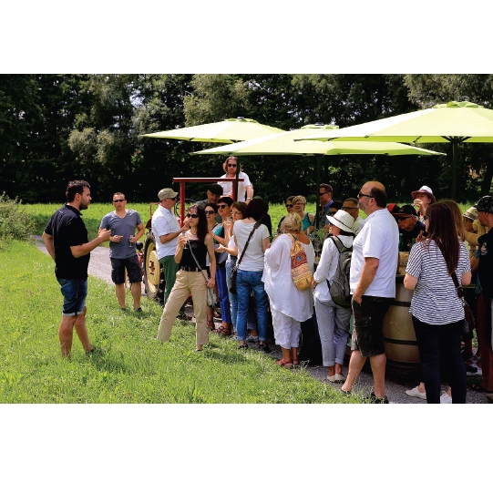 Rollende Weinbar - Wunschtermin anfragen