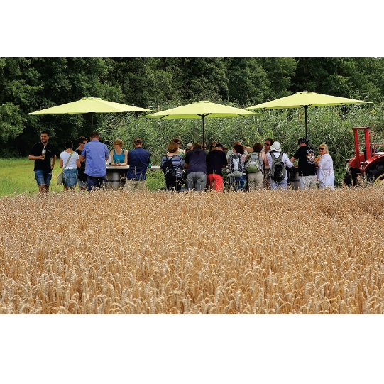 Rollende Weinbar - Wunschtermin anfragen