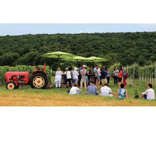 Rollende Weinbar - Wunschtermin anfragen