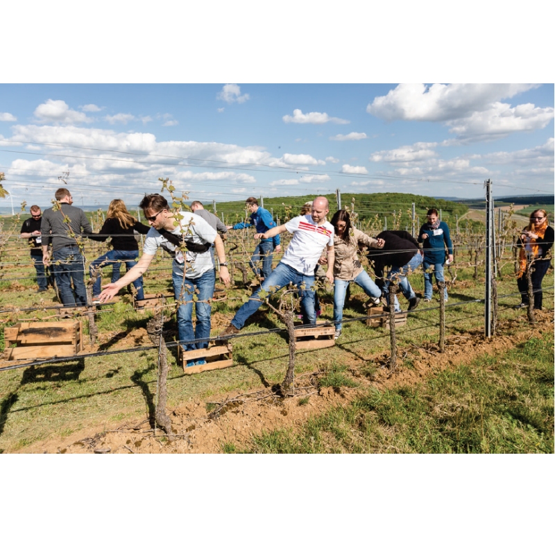 Teamevent im Weinberg - Wunschtermin anfragen