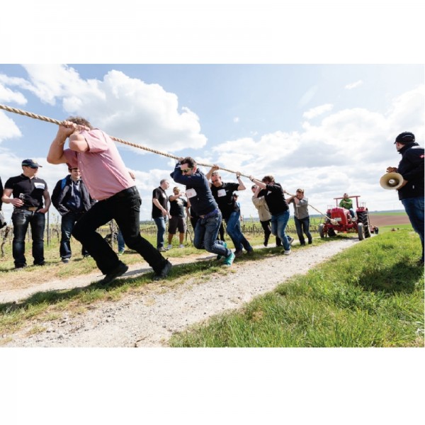 Teamevent im Weinberg - Wunschtermin anfragen