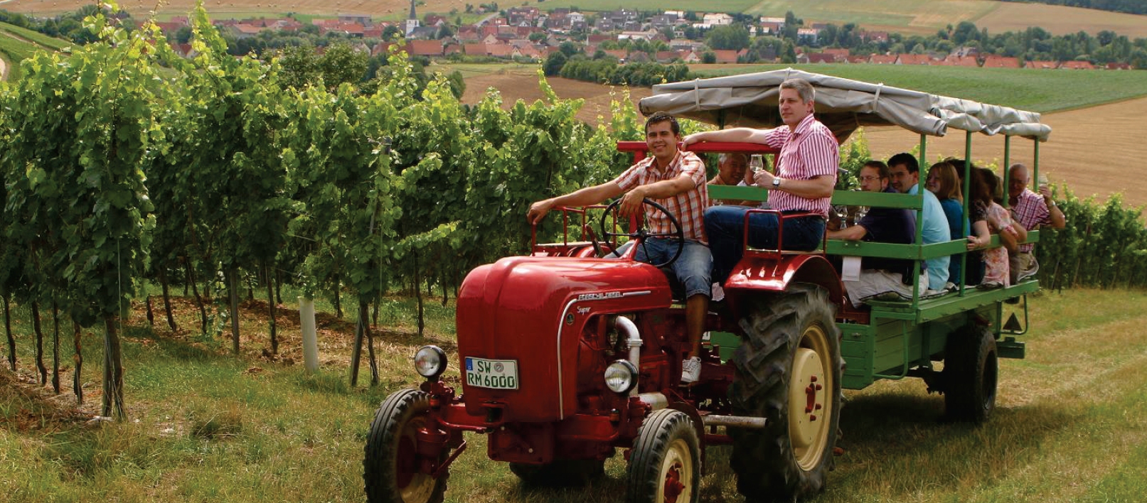 mit dem fahrrad durch die weinberge